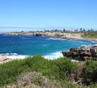 Hermanus