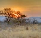 Zululand Game Reserves