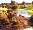 Hamed Ela - Dallol - Lago Assale - Macallè