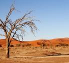 Giorno 3: Bacino di Makgadikgadi
