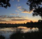 Giorno 9: area del Caprivi