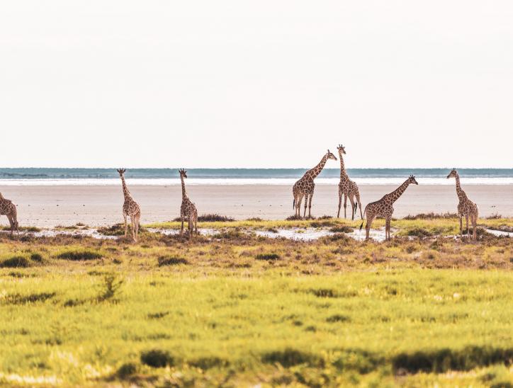 Namibia