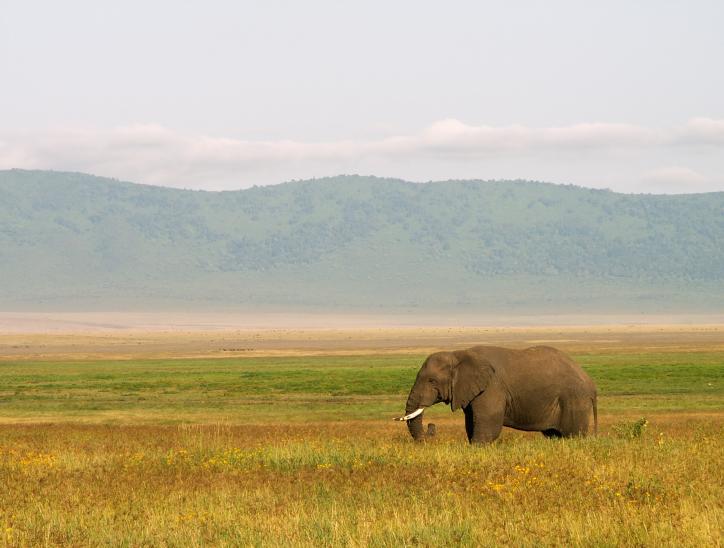 Tanzania