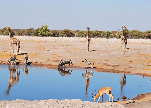 Namibia camping self drive 1