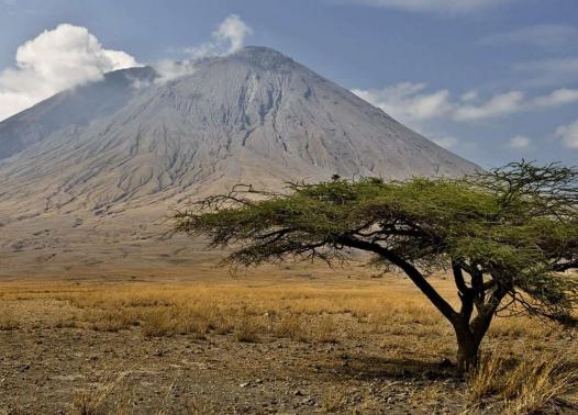 Tanzania - Ol Doinyo Lengai e le distese del Serengeti 1