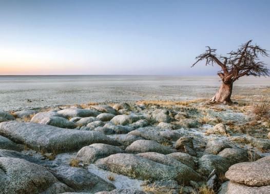 Best of Botswana - Safari in campo mobile 1