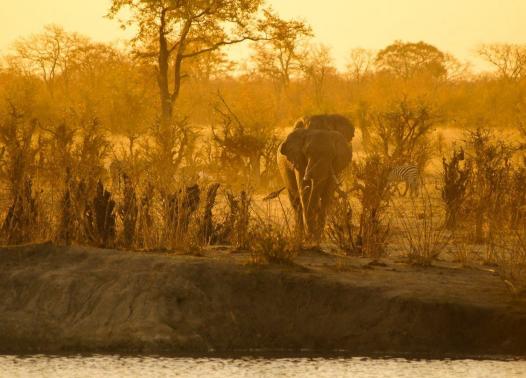 Overland -Zimbabwe Botswana game trail 1