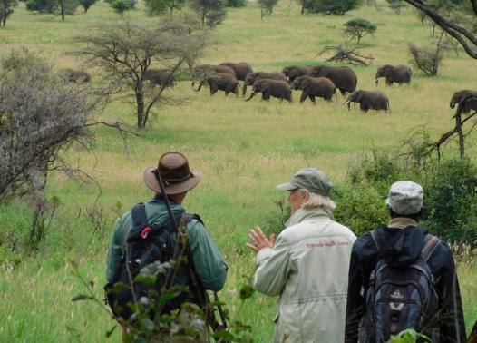 Tanzania - Safari a piedi nel Serengeti 1
