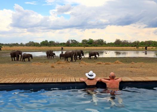 Botswana – Sable Alley Camp