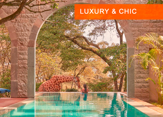 Kenya – Nairobi – Giraffe Manor Boutique Hotel