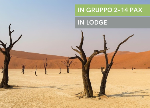 Namibia Discovery