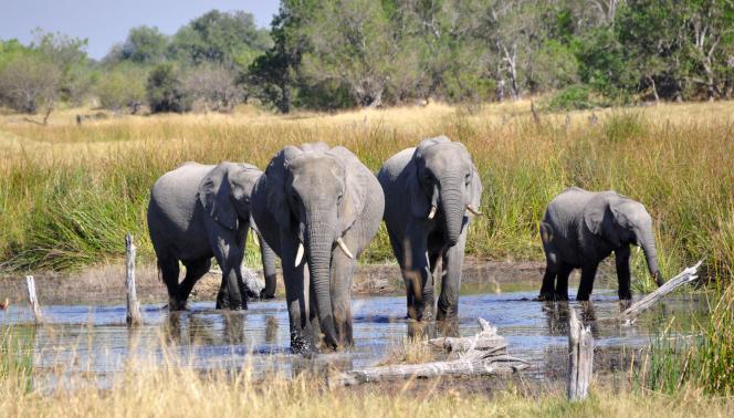 Botswana