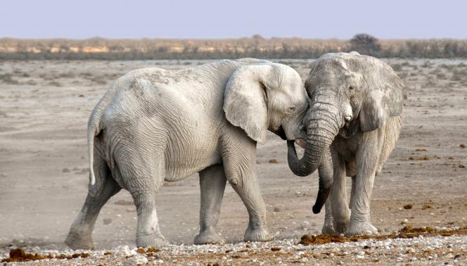 Namibia