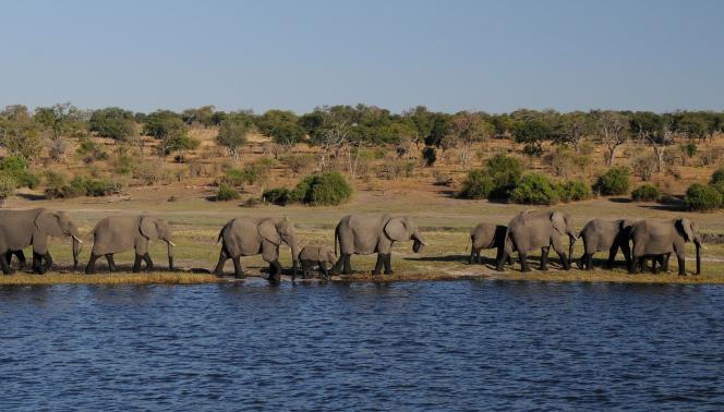 Tanzania Exploration