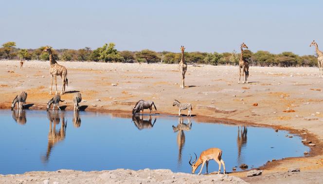 Namibia camping self drive 1