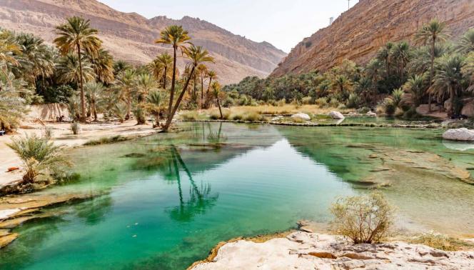 Oman - Habibi tour in 4x4 1