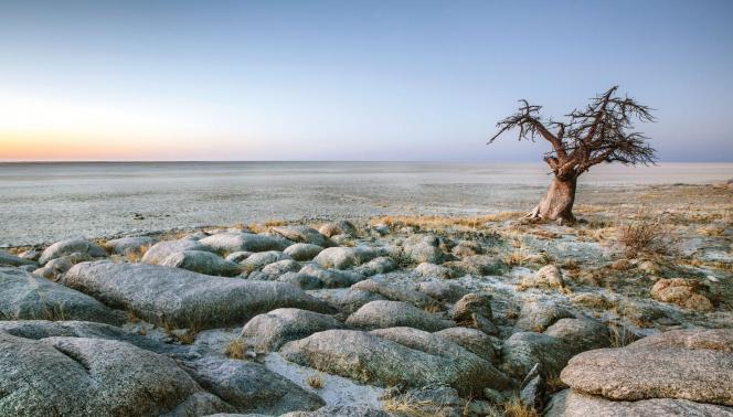 Best of Botswana - Safari in campo mobile 1