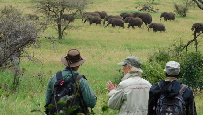 Tanzania - Safari a piedi nel Serengeti 1