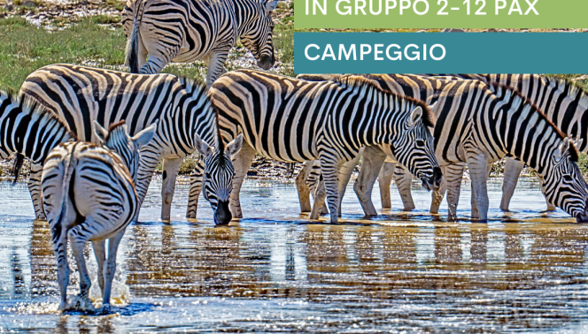 Overland - Da Città del Capo alle Cascate Vittoria