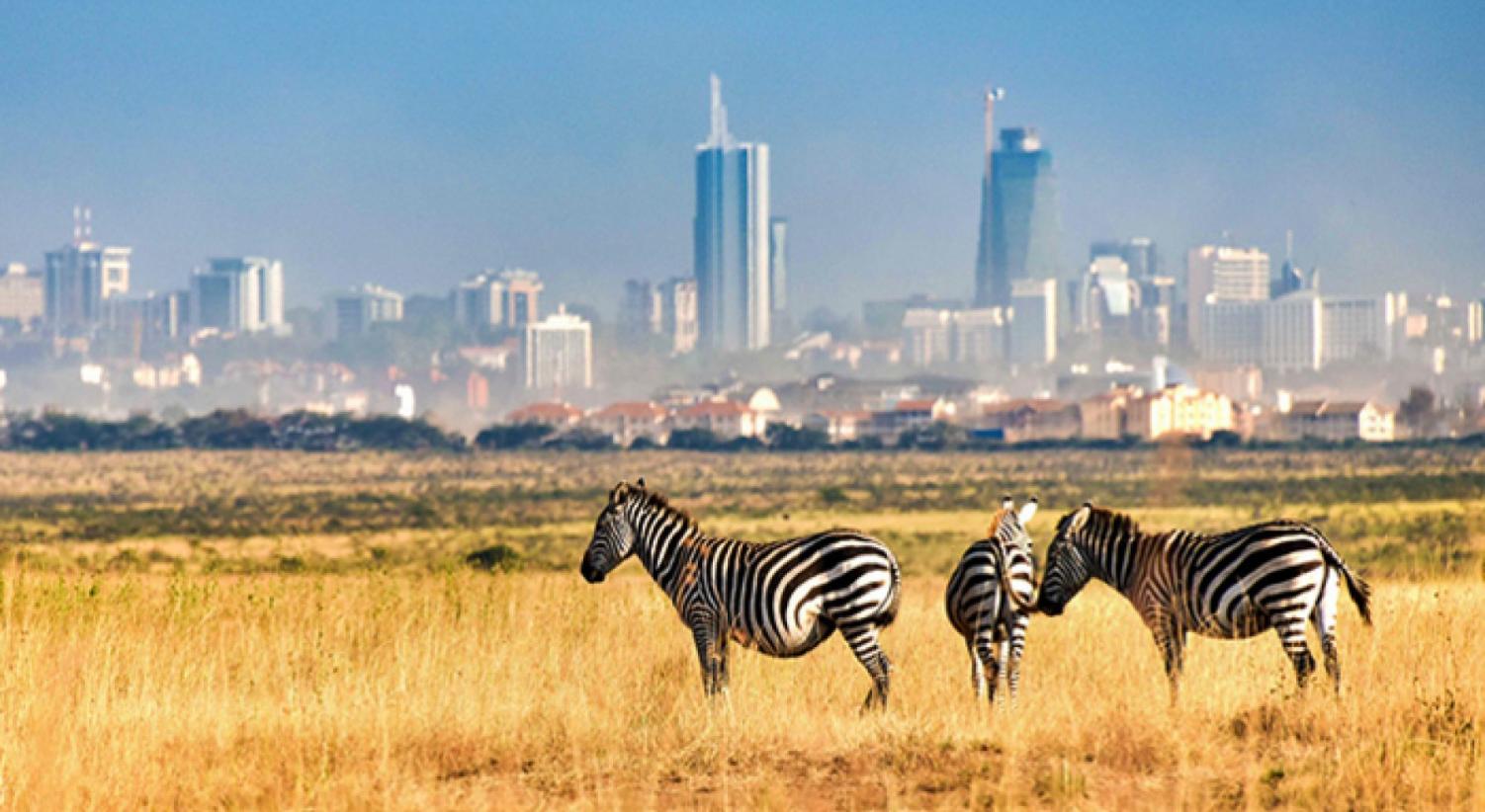 Nairobi National Park