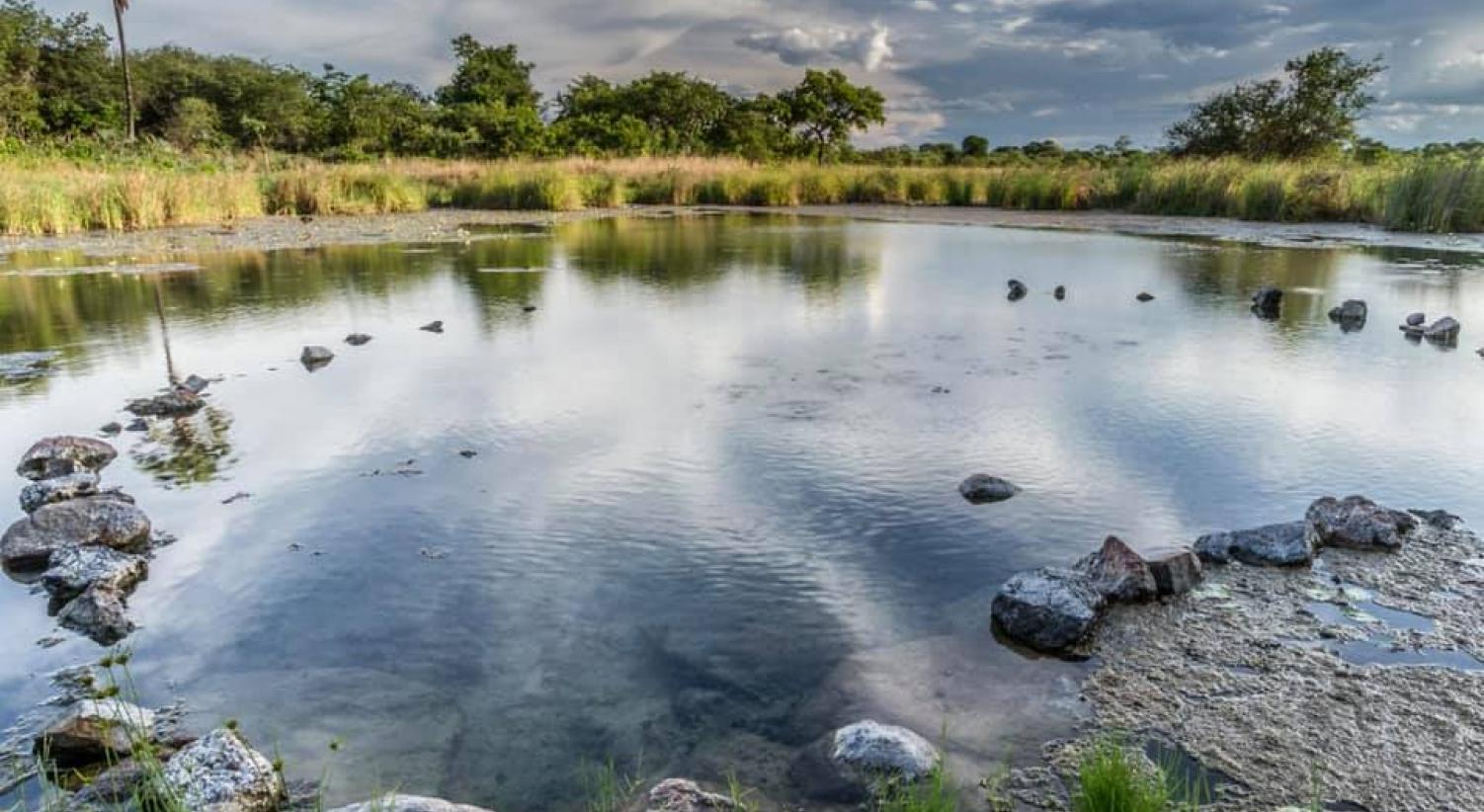 Kafue - Busanga Plain