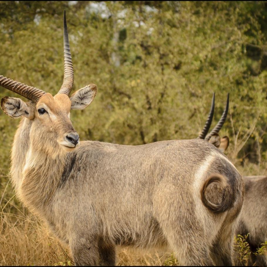 Sud Africa - Mahlori Tour 6