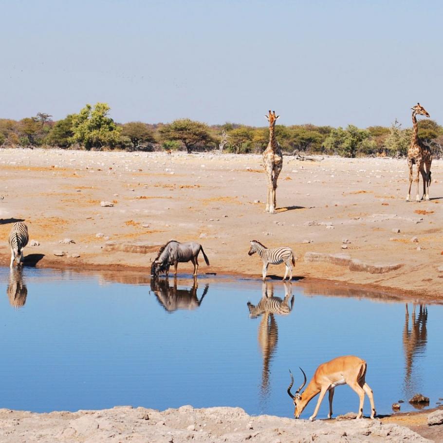 Namibia camping self drive 1