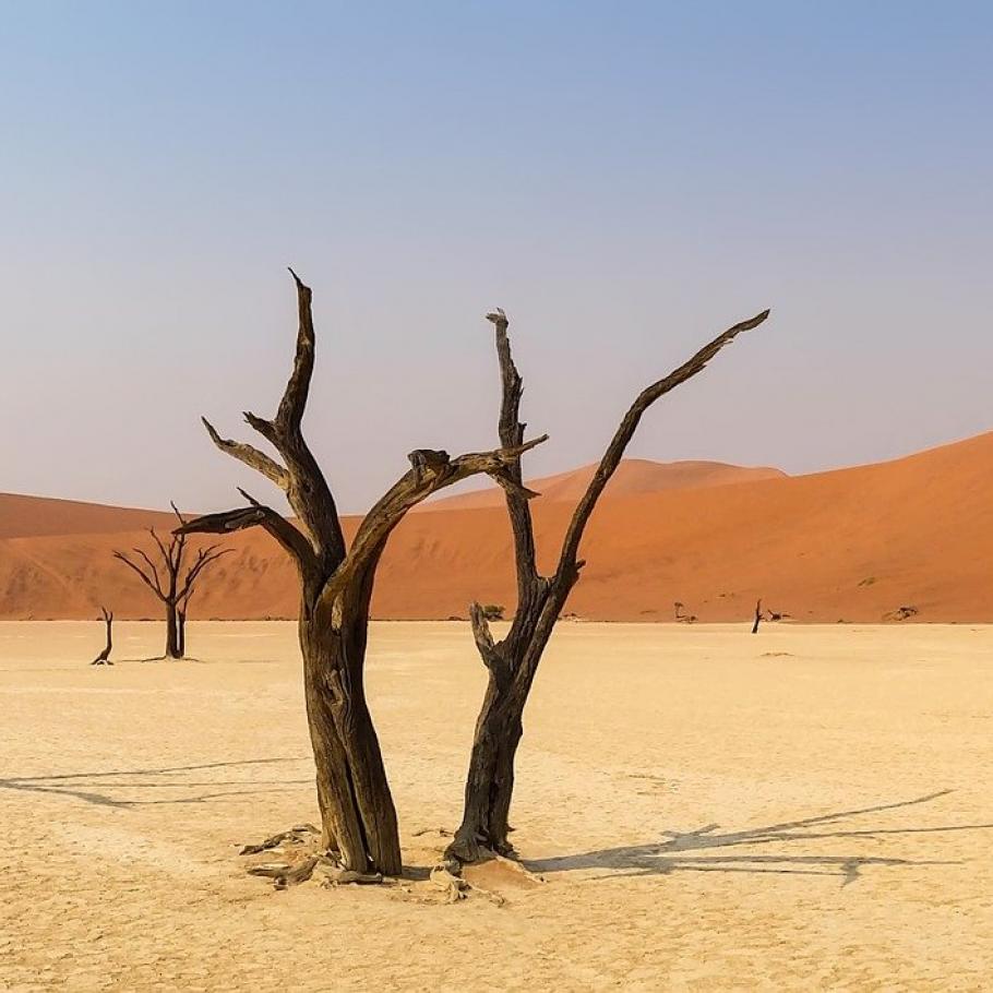 Namibia Discovery
