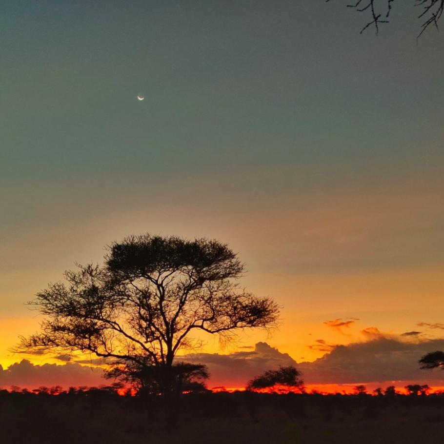Tanzania - Safari a piedi nel Serengeti 3