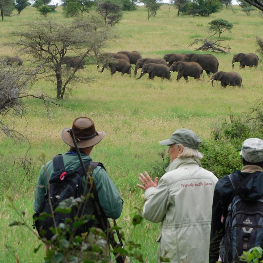 Tanzania - Safari a piedi nel Serengeti 1