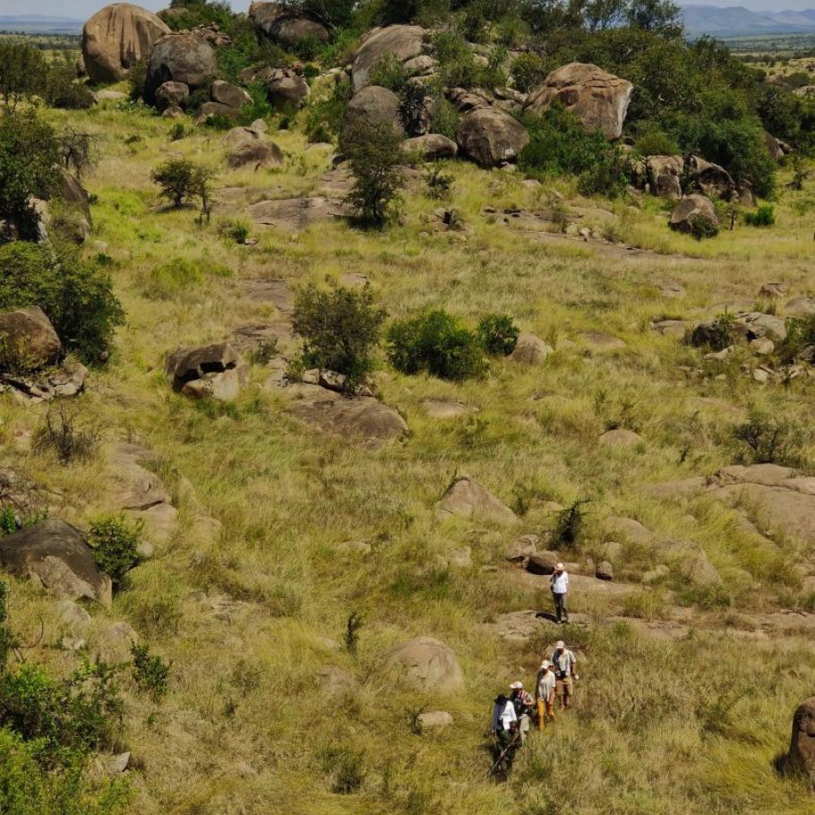 Tanzania - Safari a piedi nel Serengeti 8