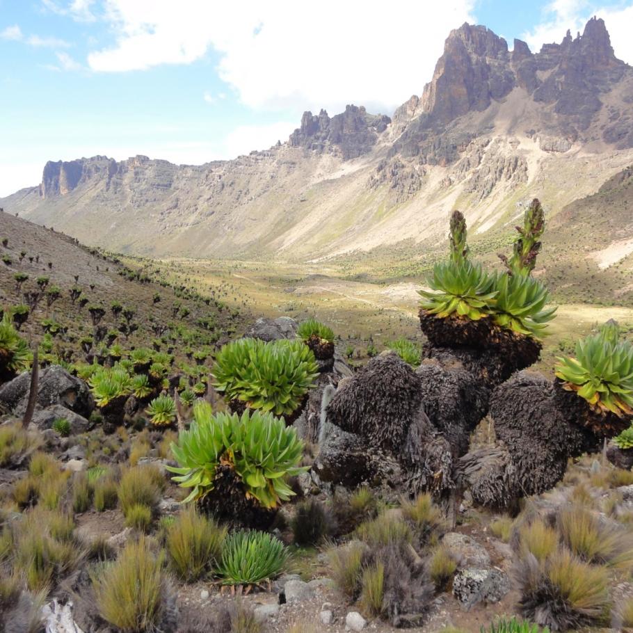Trekking sul monte Kenya