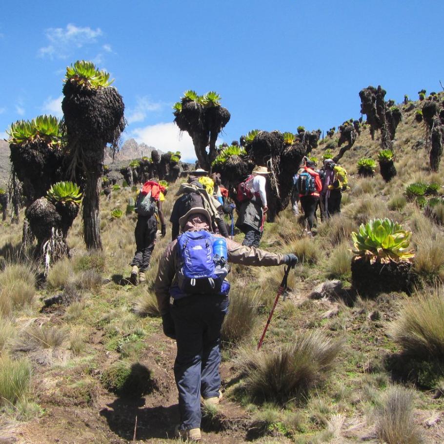Trekking sul monte Kenya
