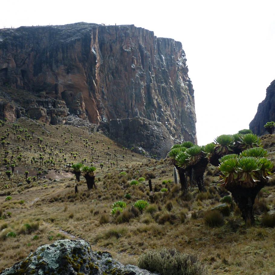 Trekking sul monte Kenya