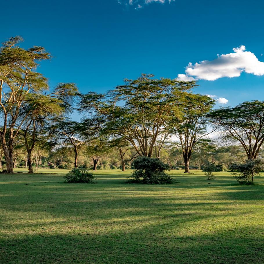 Lago Naivasha