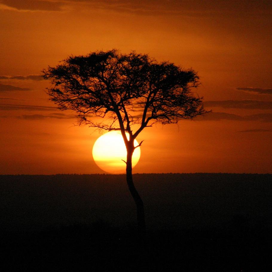 Tramonto Masai Mara