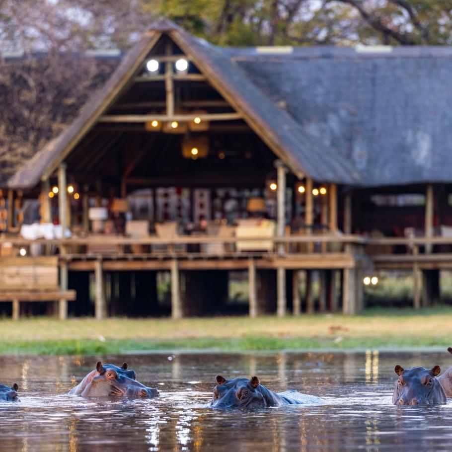 Botswana – Sable Alley Camp