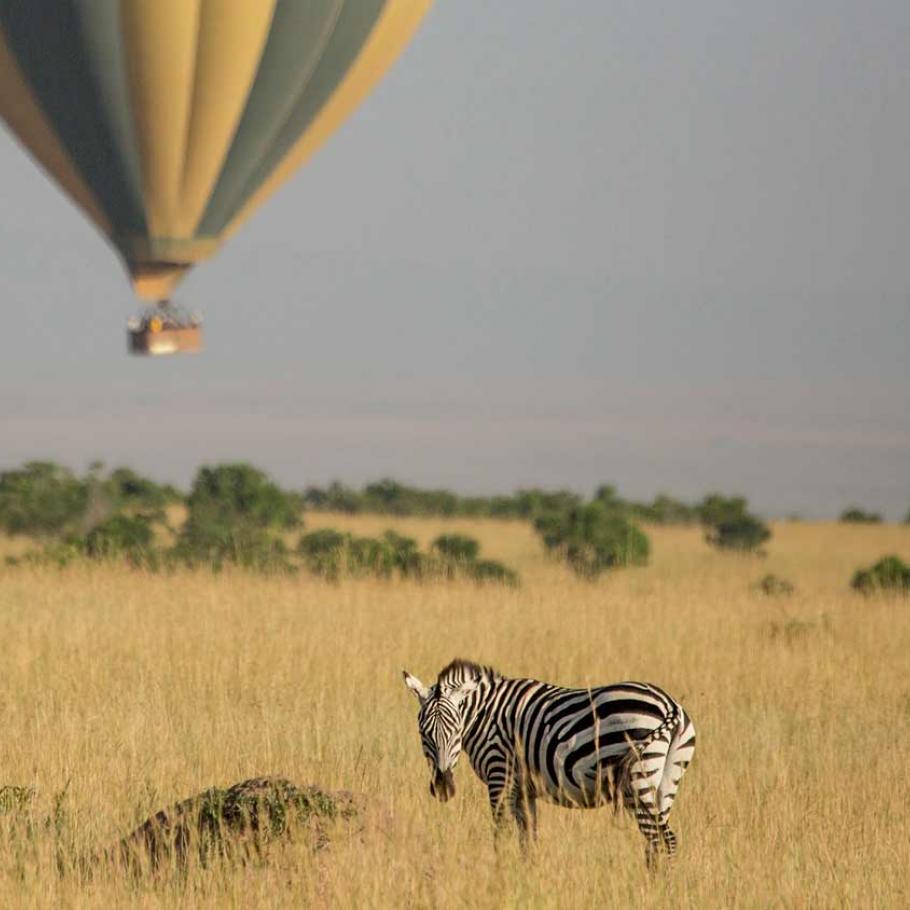 Kenya – Sala's Camp