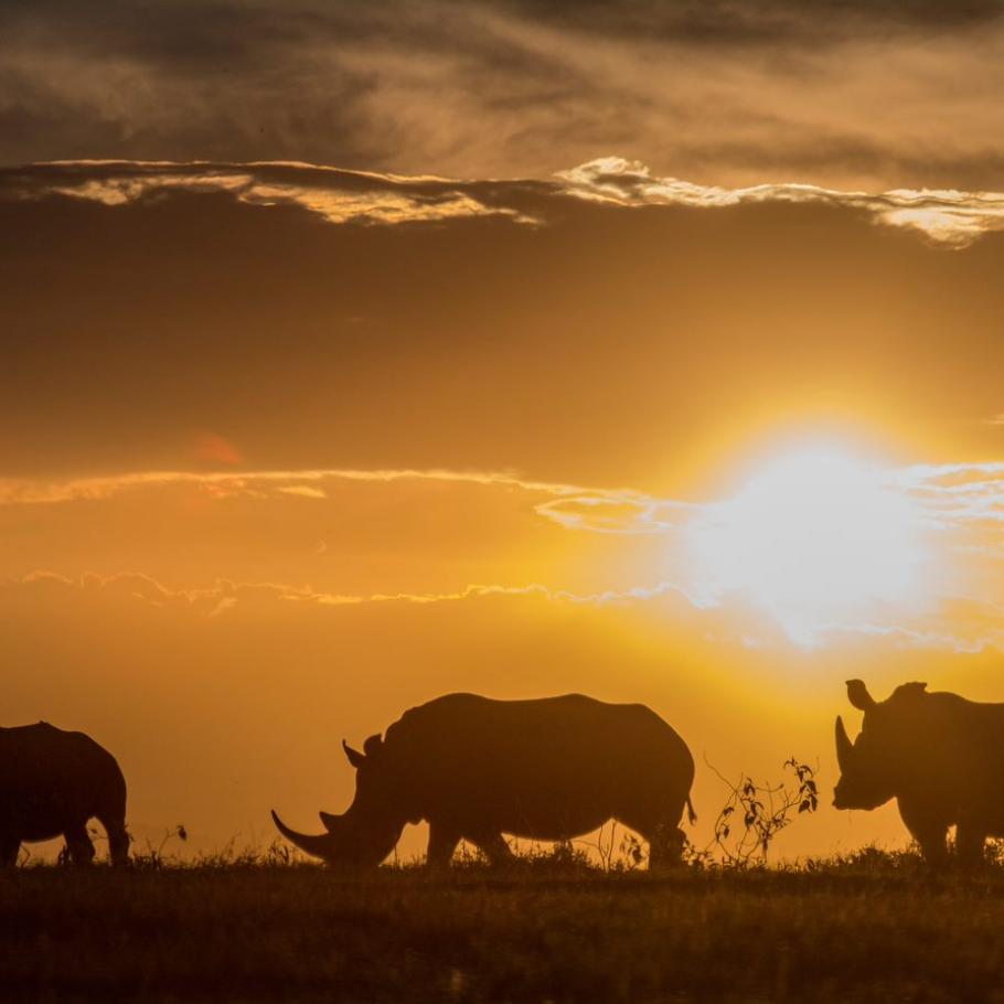 Kenya – Solio Lodge