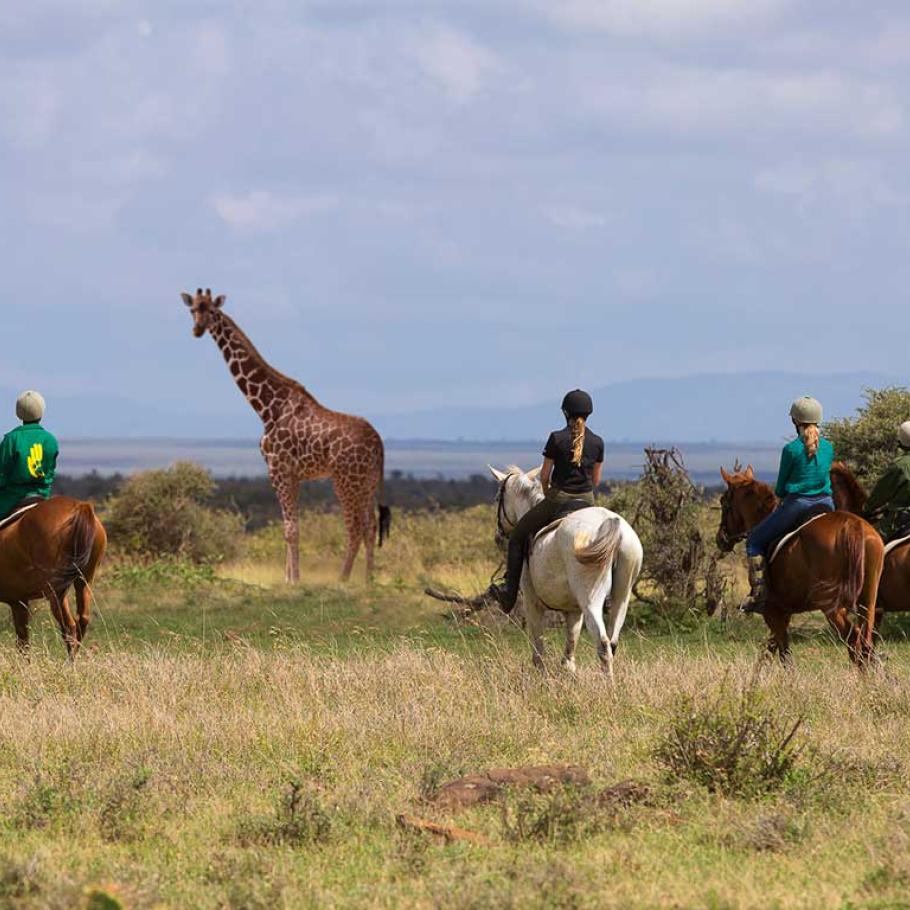 Kenya - Loisaba Tented Camp