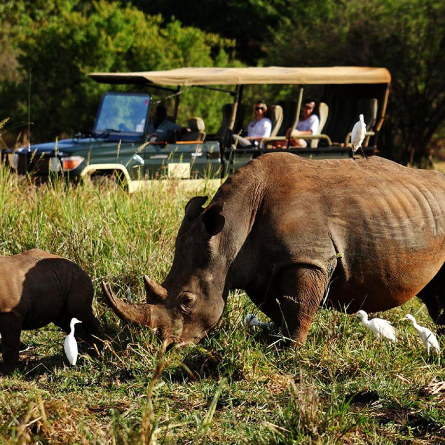 Kenya - Elsa's Kopje Meru