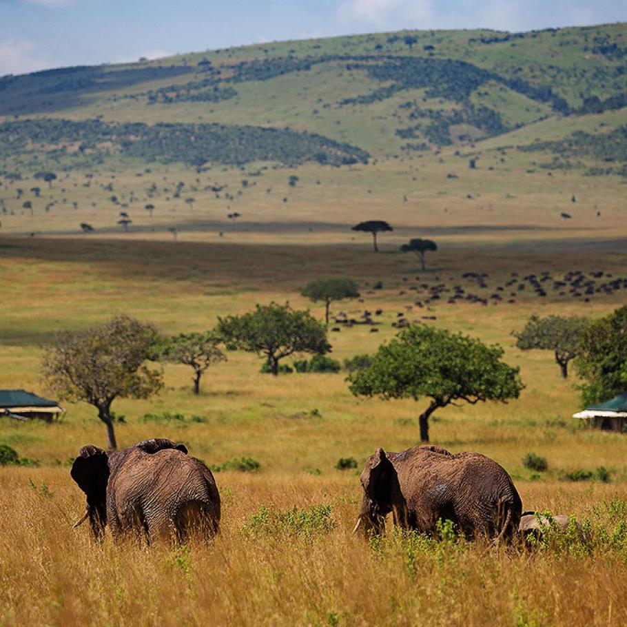 Kenya - Sand River