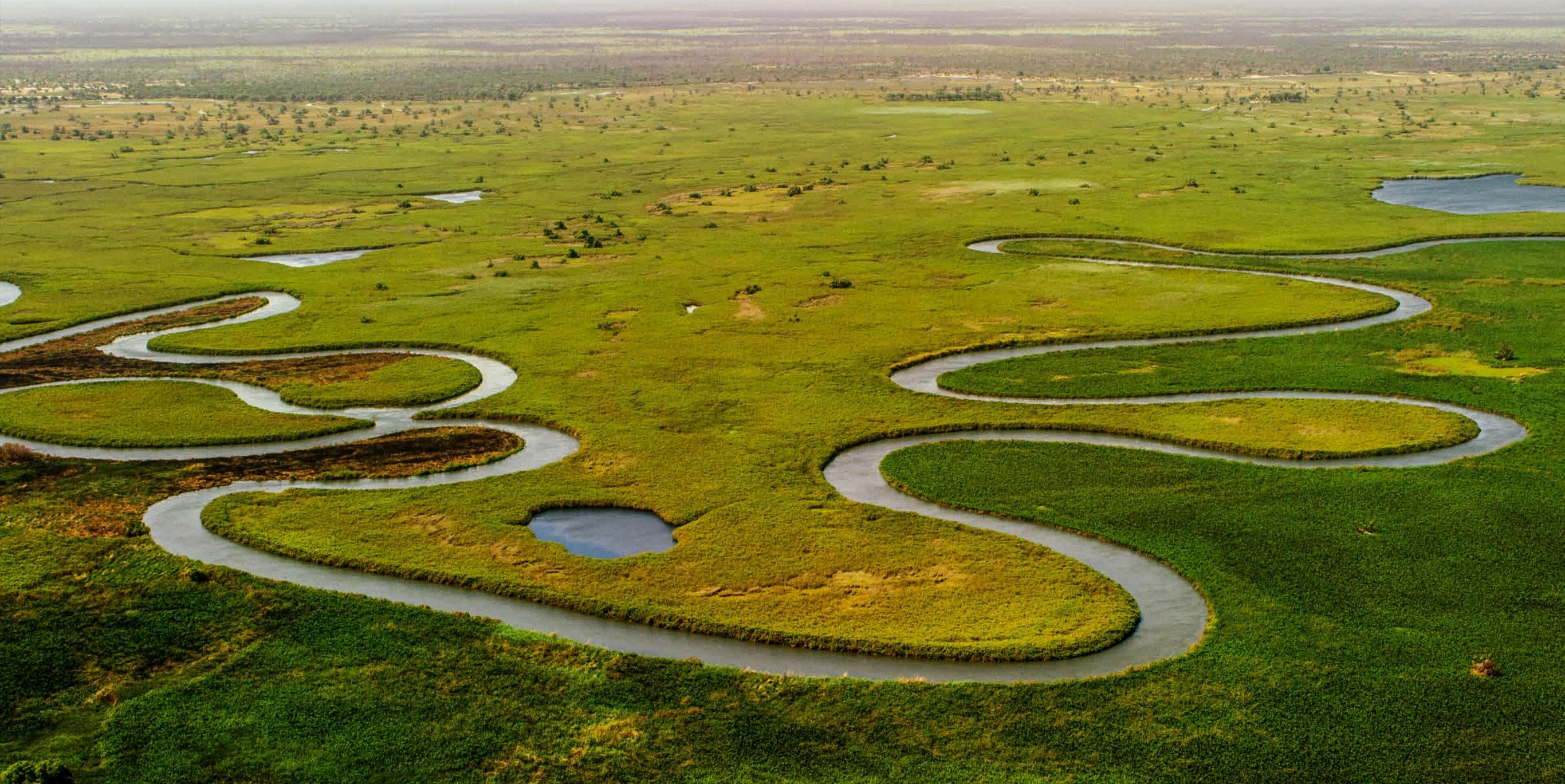 Botswana delta dell'Okavango