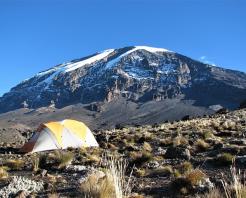 Kilimanjaro