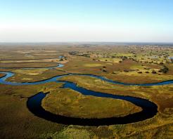 Delta dell'Okavango