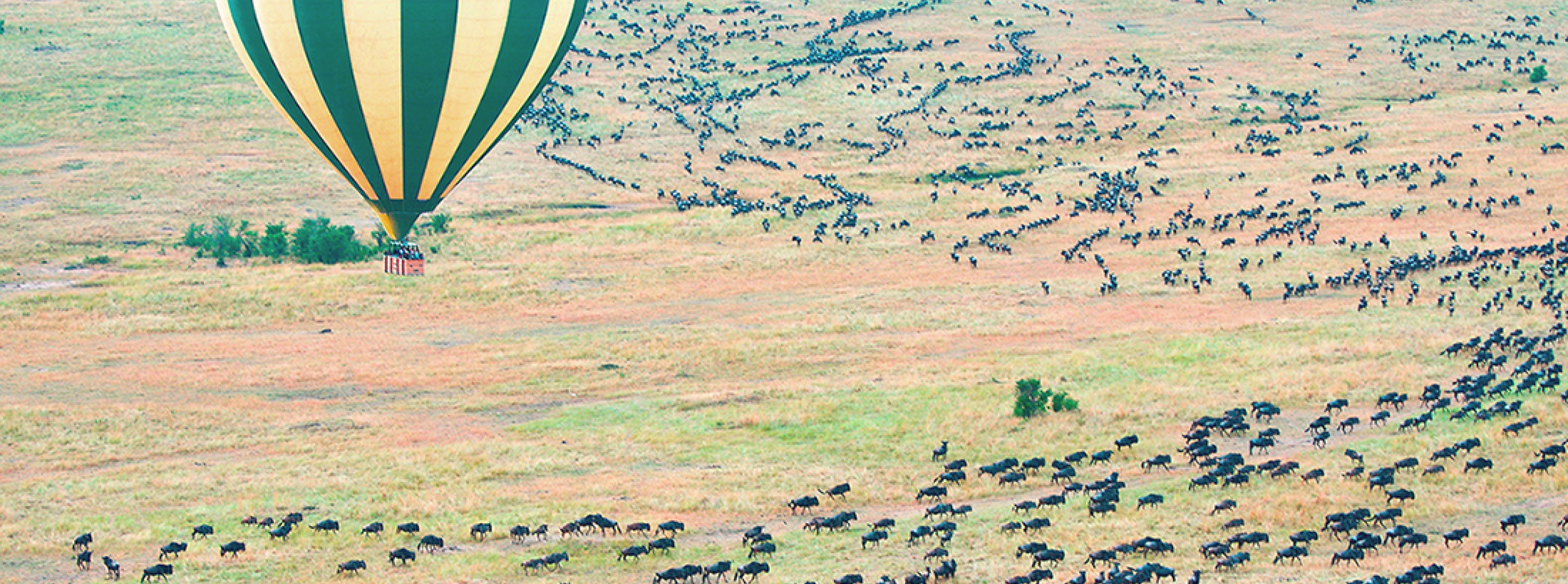 Kenya - I parchi del Nord