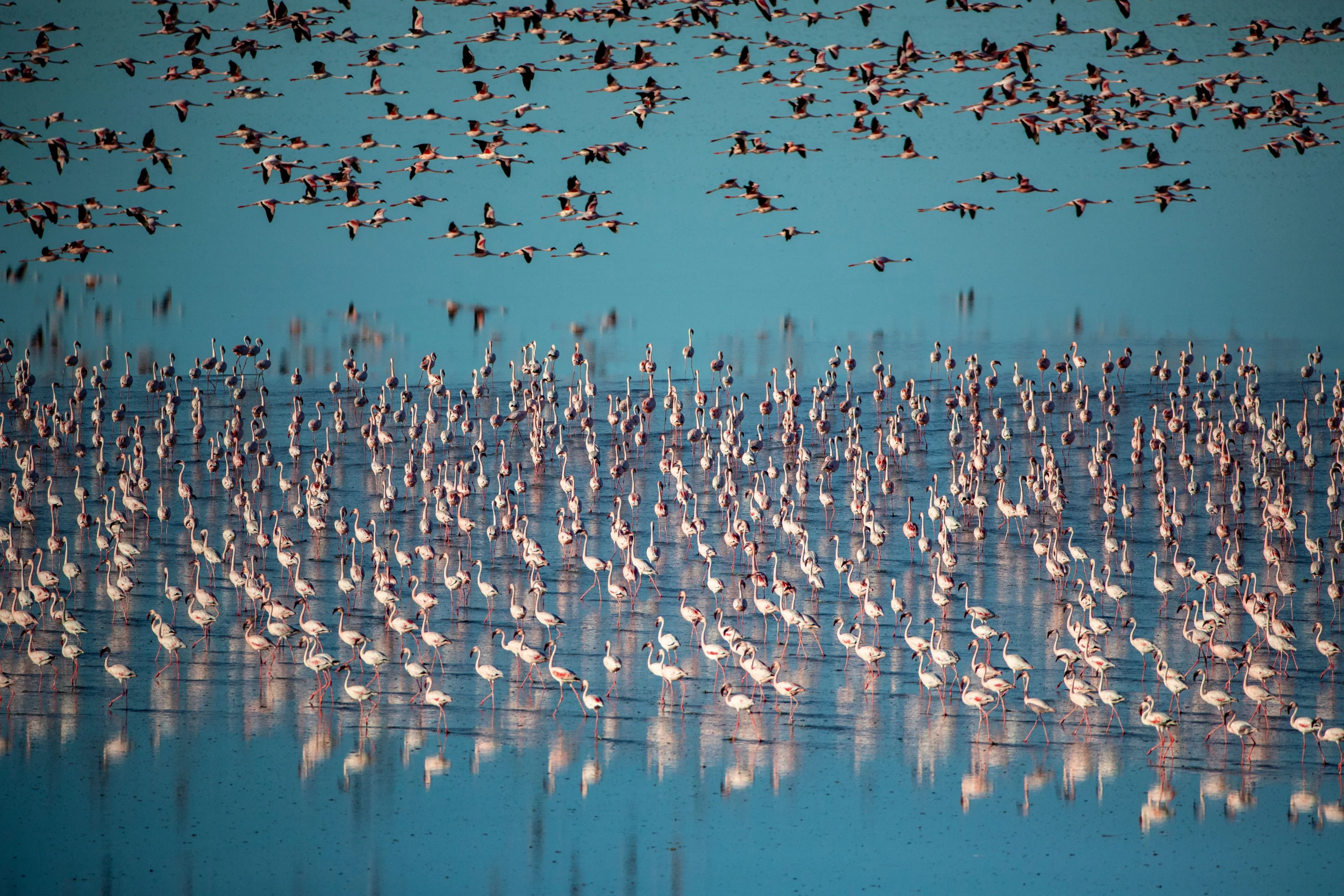Botswana – Tuludi Camp