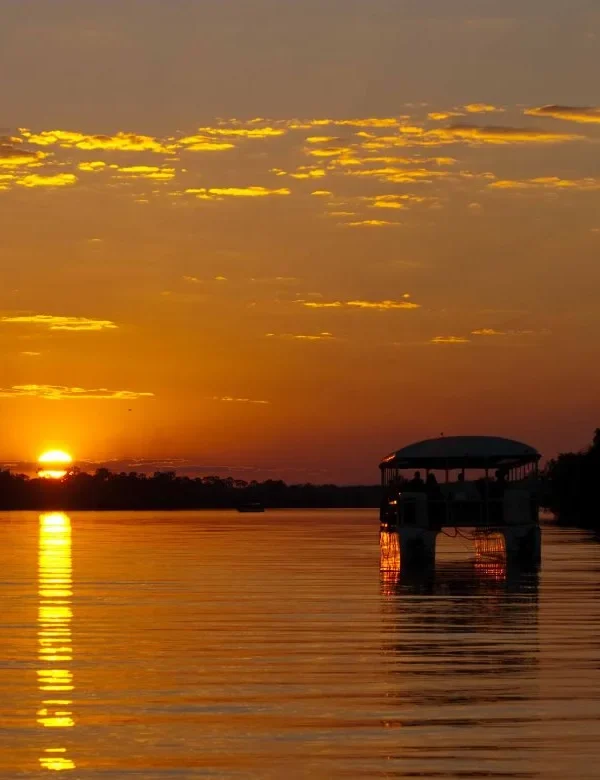 Overland - Botswana Wildside