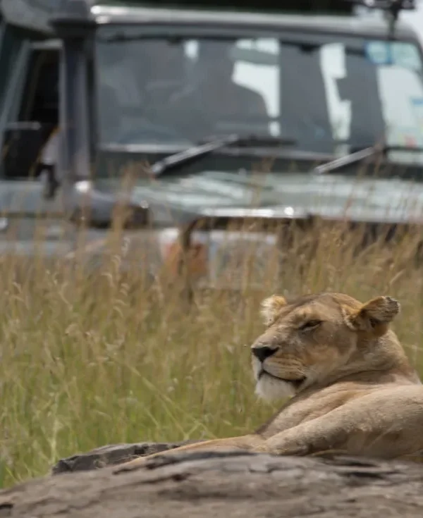 Sky Safari Kenya: 8 gg