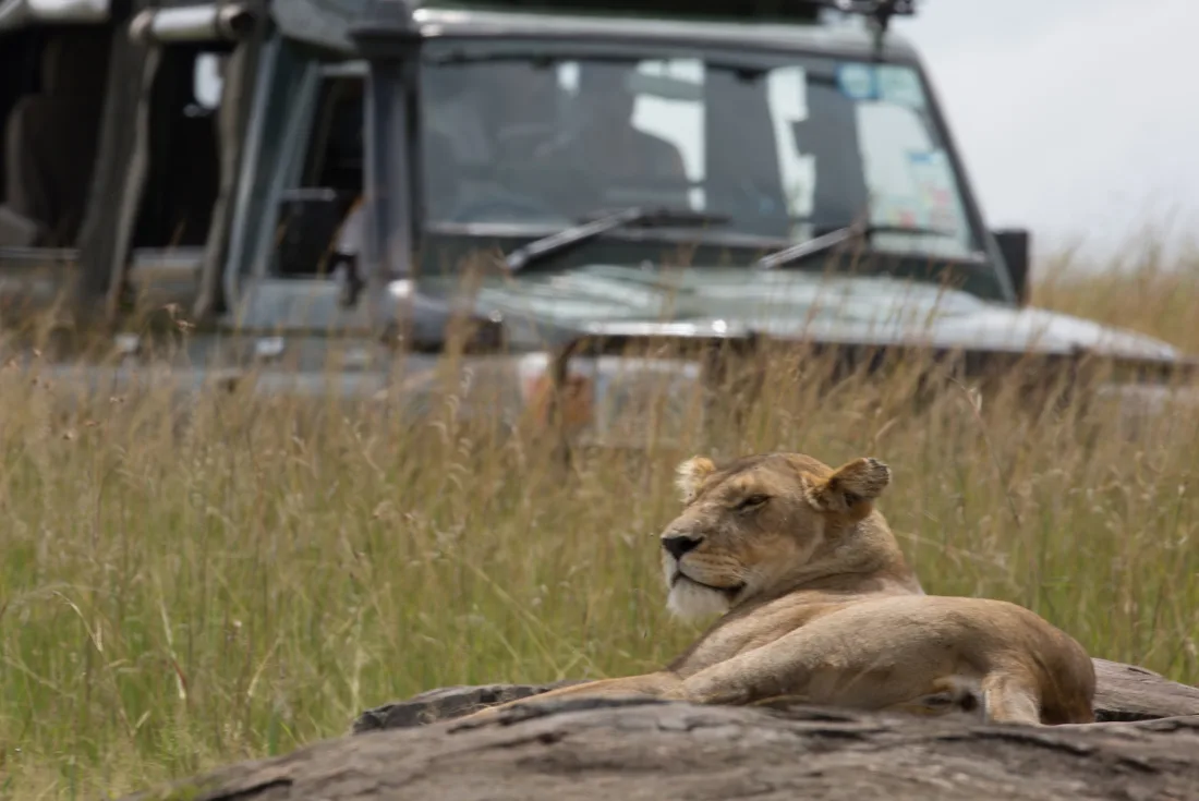 Sky Safari Kenya: 8 gg